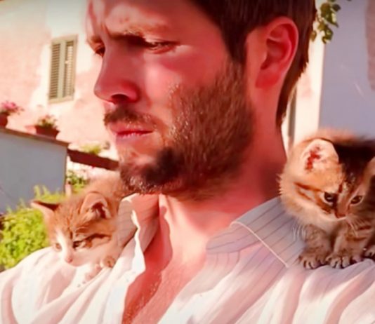 Rescued Kittens Cling to Their Savior, Following Him Everywhere